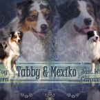 Mexiko & Tabby
