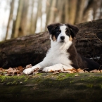 Fifty Fifty 4 měsíce