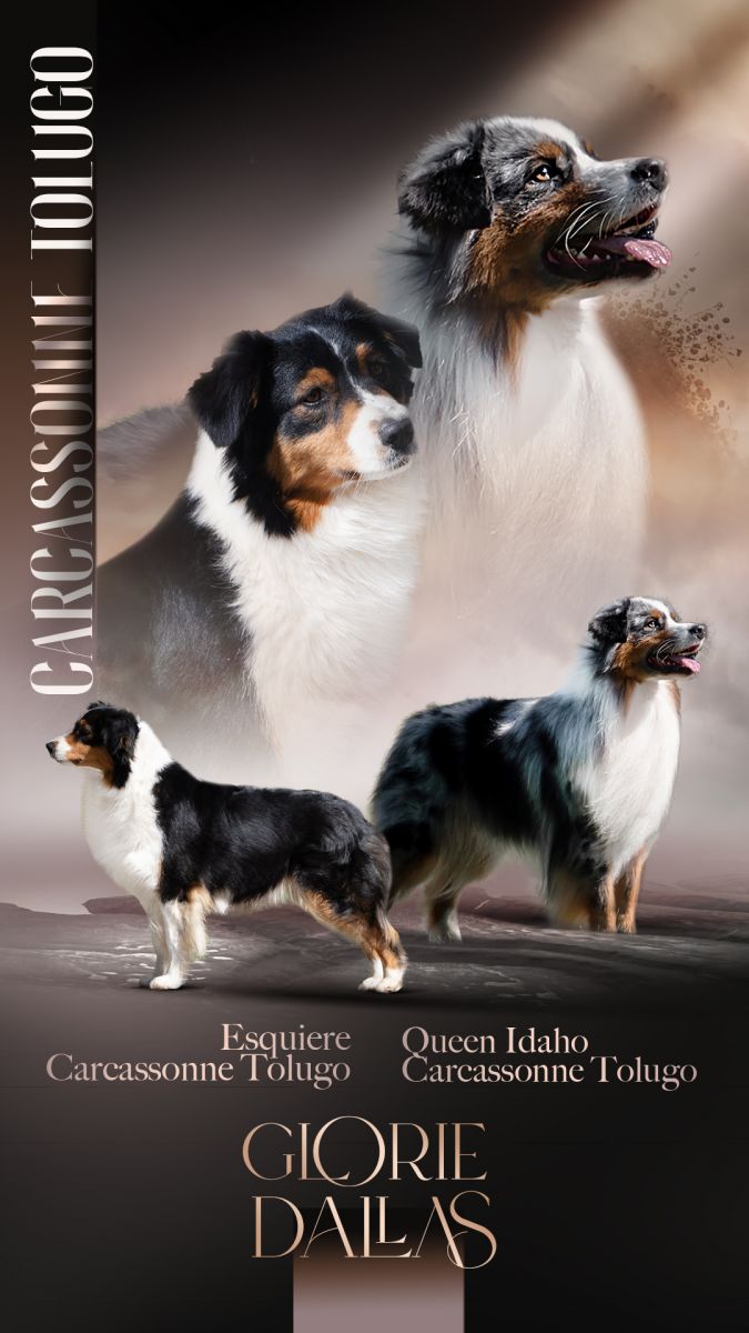 Glorie x Dallas Glorie x Dallas